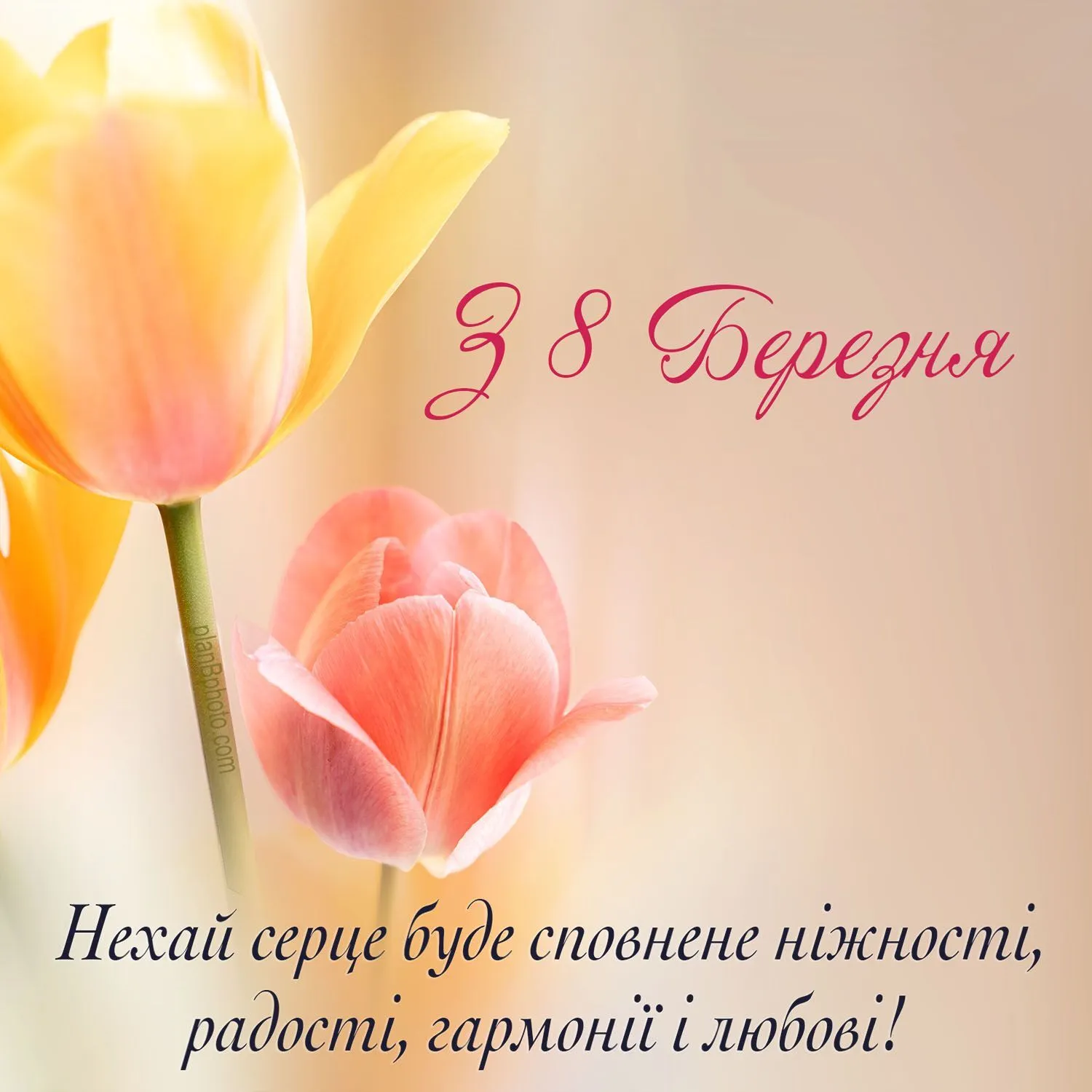 242a056870bf2f0d7f3f9956725b5c09