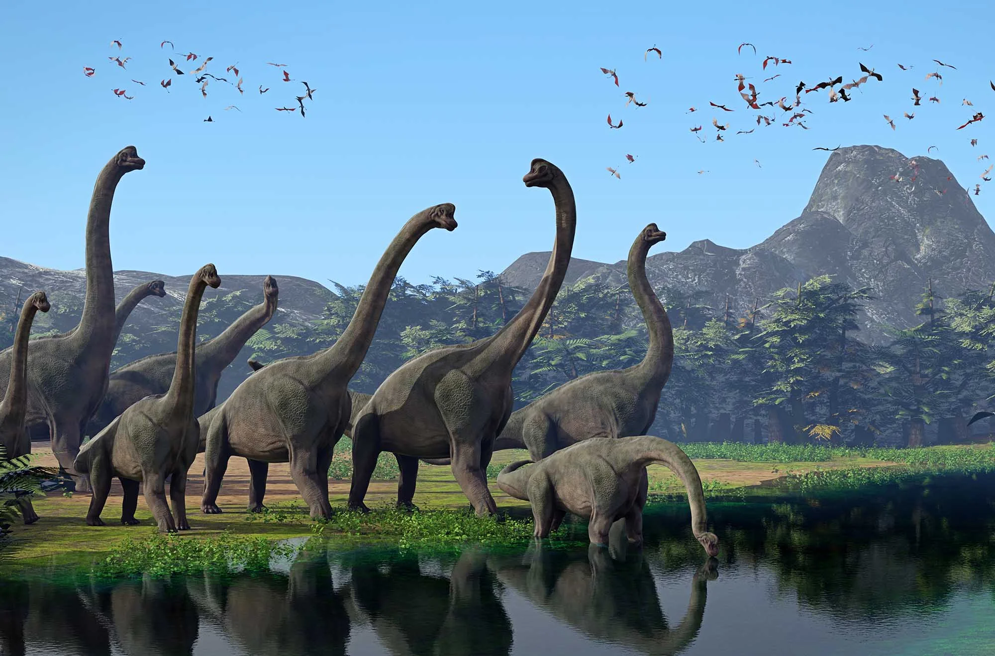 Brachiosaurs