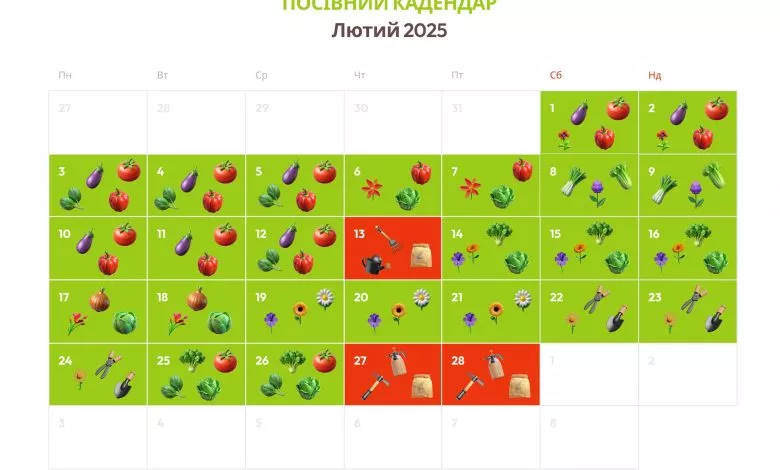 02 2025. 2400x1614 1