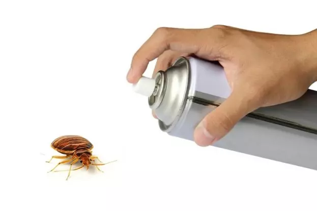 03 55 27 How To Get Bugs