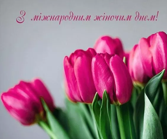 2af42bdce01f7dc48fee4a318da108e6 E1707488706389