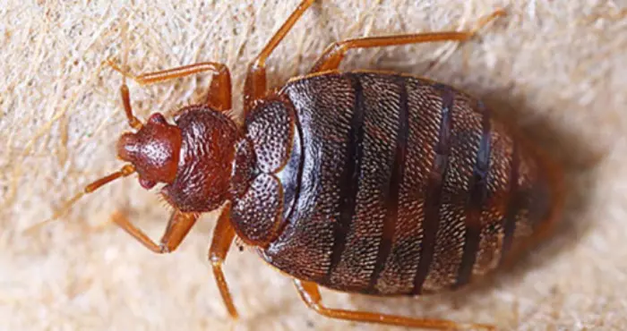 700x371 6150329cbd223