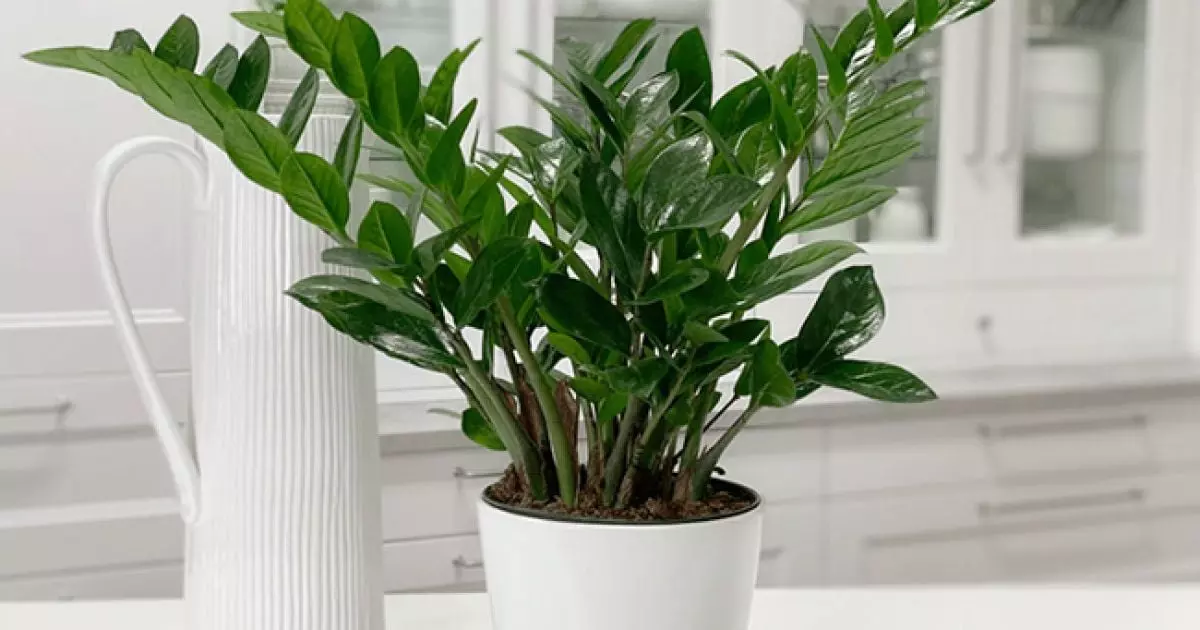 84d2a08ed1a281f8a345fdf1d05a6f0d