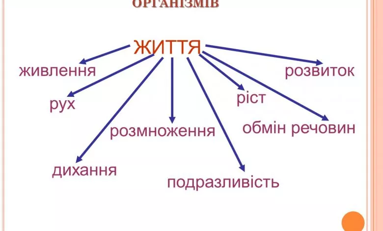 8e72af4beb9a7b1a32c5478e7ef00f1e