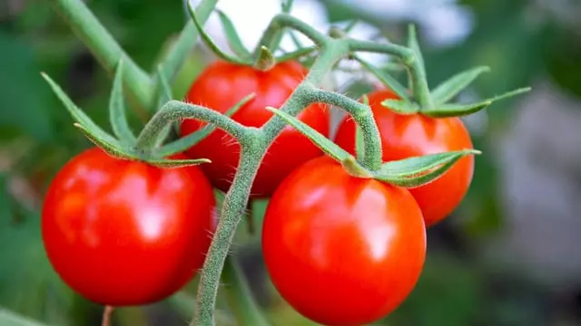 Depositphotos 345650570 Xl 2