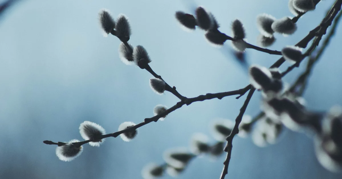 F1a45aadc69e9860ee7fe6cee6dd998f