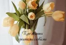 Faa5d5d6cdc31e7c162108edb9c81c3f