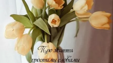 Faa5d5d6cdc31e7c162108edb9c81c3f