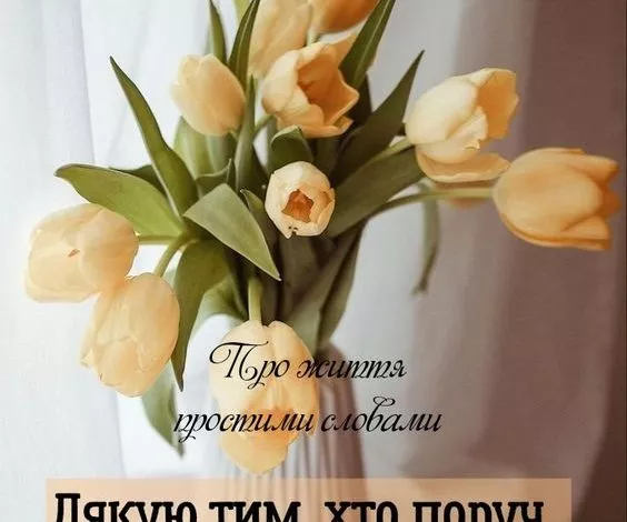 Faa5d5d6cdc31e7c162108edb9c81c3f