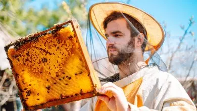 Final3 Gettyimages 1457316524 Rzfrcwl