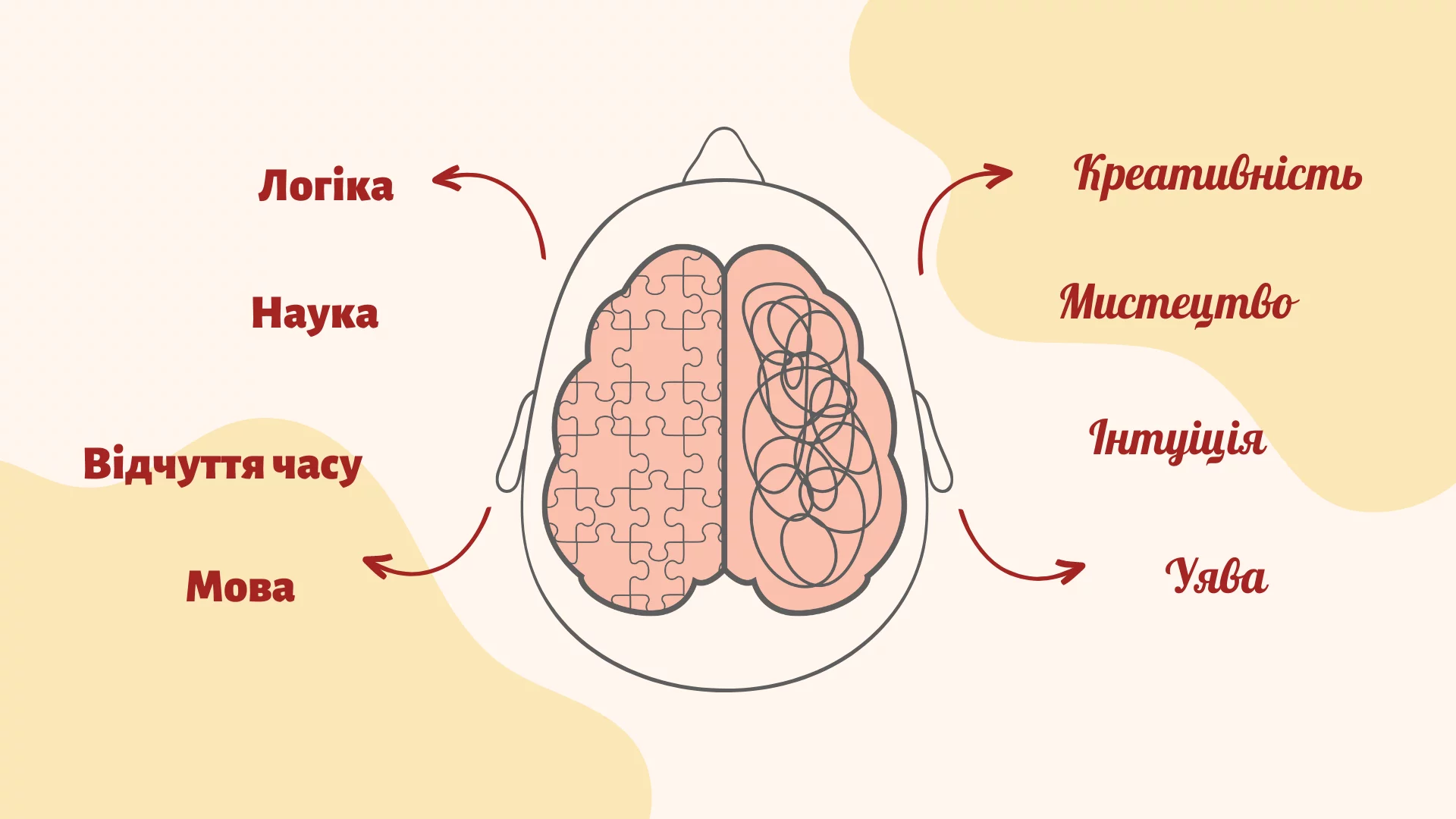 Liva Pivkulia Proty Pravoi Dominuvannia Pivkul 1