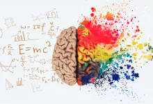 Liva Pivkulya Proty Prava Pivkulya