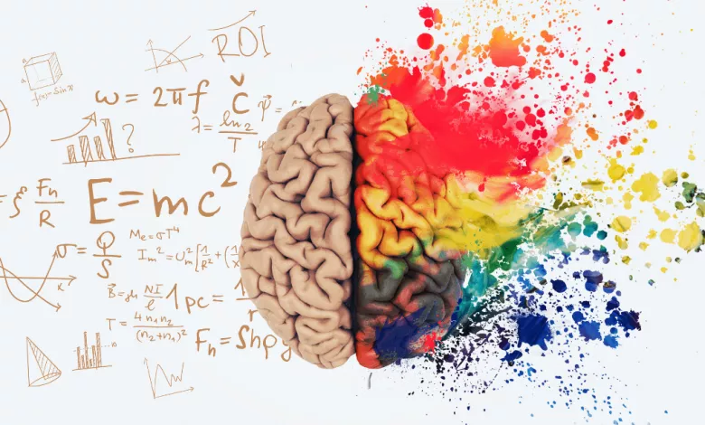 Liva Pivkulya Proty Prava Pivkulya