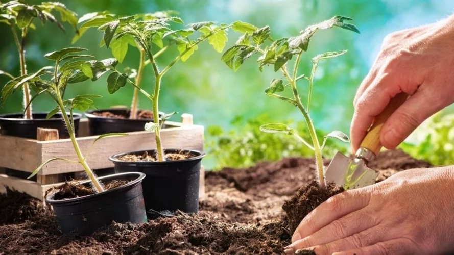 Nwy7oqkspvfhqqzkbjocqmhsdkqntbuaq4jomb8d