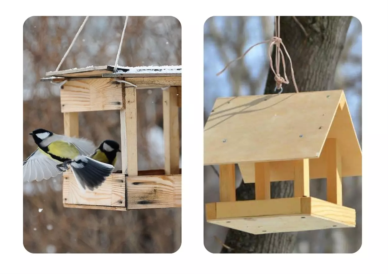 O 1flb19jtm1asljnv5ve3sc1uph38