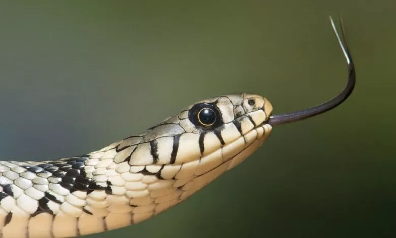 Rw6wna C1200x630x50px50p Up Fc20e8723657390ce105551d41bdd731