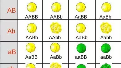 0401akqm Fc02 600x506 1