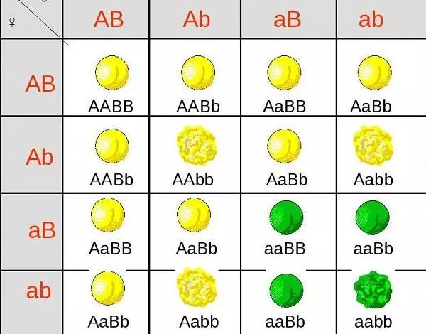 0401akqm Fc02 600x506 1