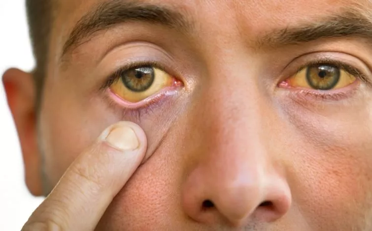 65b8aca Depositphotos 443245864 S