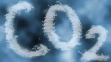 C801f97c73fa4b05949cc14838074632